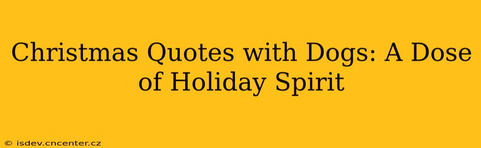 Christmas Quotes with Dogs: A Dose of Holiday Spirit